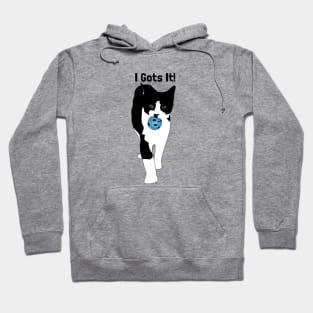 I gots it kitty! Hoodie